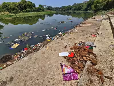 Pavana_River_Pollution